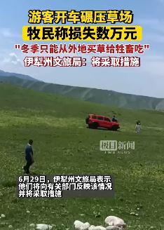 游客开车碾压草场 牧民称损失数万元