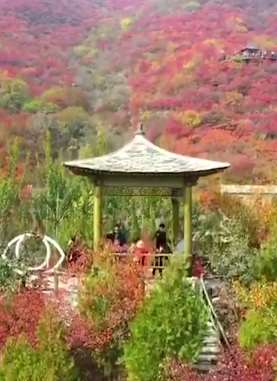 航拍北京坡峰岭景区，漫山红叶美如画