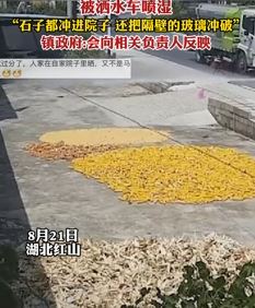 湖北红山一农户称在自家院晒粮食被洒水车喷湿