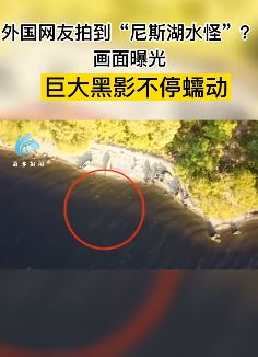 外国网友拍到尼斯湖水怪
