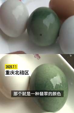 重床一男子养的老母鸡产下一枚翡翠鸡蛋 舍不得吃