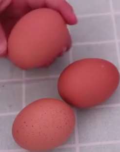 隔夜鸡蛋还能不能吃？认真看下这个视频吧！