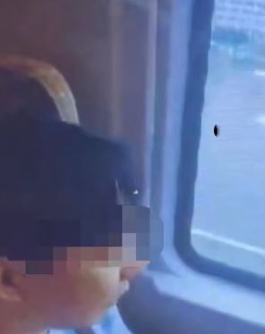 男子霸占老人座位窗边看风景并辱骂乘警被拘10日