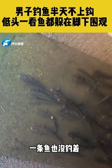 男子钓鱼半天鱼不上钩 低头一看全在脚下围观