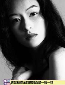 越南女模特撞脸章子怡 简直是一模一样