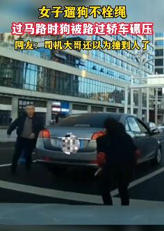 女子遛狗不栓绳 过马路时狗被汽车碾压