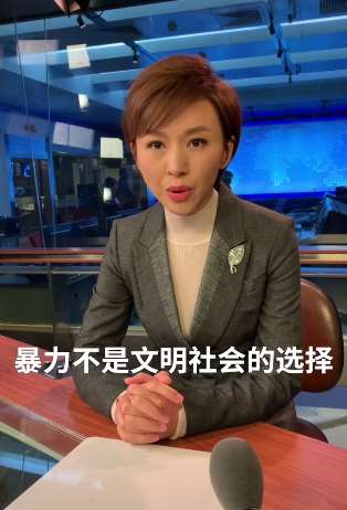 央视主播谈何君尧被袭事件