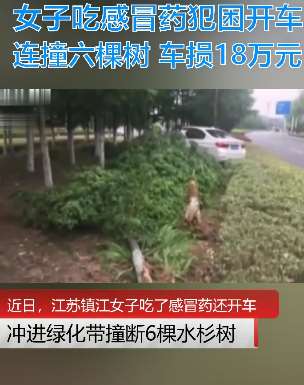 江苏一女子吃感冒药犯困 开车连撞6棵树