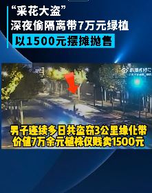 上海一男子深夜盗窃隔离带绿植获利被抓