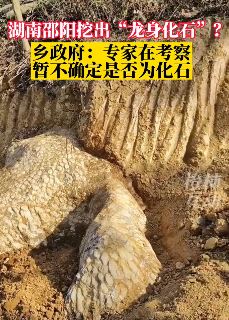 湖南邵阳发现疑似"龙化石"引群众围观