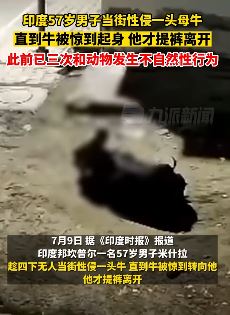 印度一男子当街性侵一头母牛 此前已3次和动物发生性行为