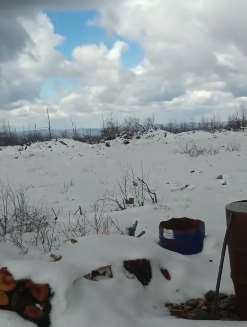 黑龙江呼中区5月飞雪 瞬间从夏季转成冬季