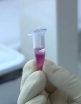 屠呦呦团队青蒿素抗药性研究取得新突破