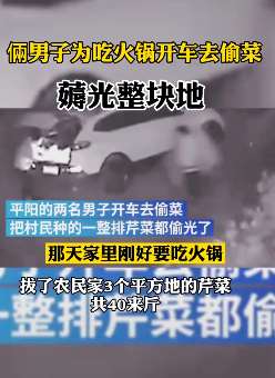 男子为吃火锅偷菜塞满整个后备箱