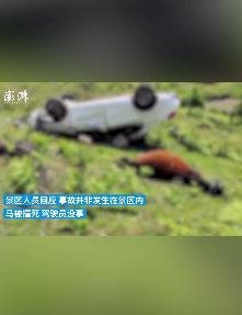 游客驾车在牧区撞死2匹马后侧翻