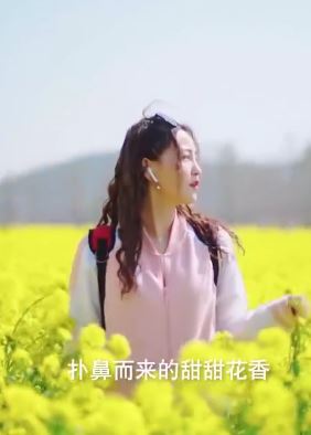 青岛五一长假赏花攻略