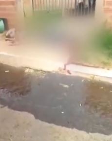 巴西一年轻夫妻毒品窝点前被枪杀留下10月大婴儿