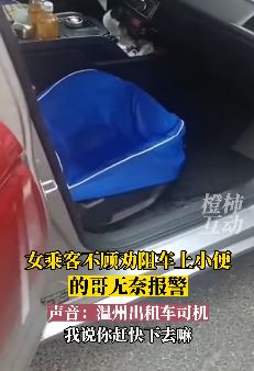 奇葩女乘客不听劝阻车上小便，的哥无耐报警！