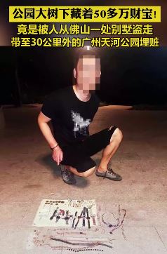 广州一公园树下藏着50多万财宝