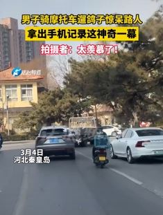 河北秦皇岛一男子骑摩托车遛鸽子 拍摄者:太神奇了