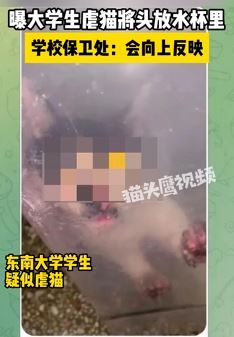 网传南京一大学生虐猫将头放水杯里