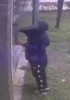 监拍男子深夜偷盗女孩内衣内裤被发现