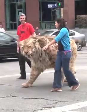 国外街头恶作剧，路人纷纷中招，更有甚者都被吓倒了！