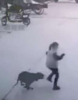 河南一女童去伯母家上网课 途中被狗咬成重伤