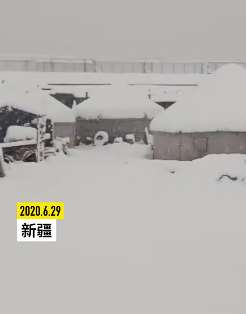 新疆多地普降大雪 气温骤降20度