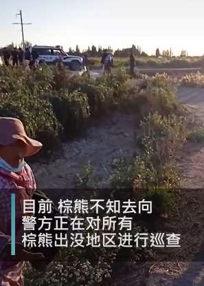青海格尔木5名工人遭棕熊袭击