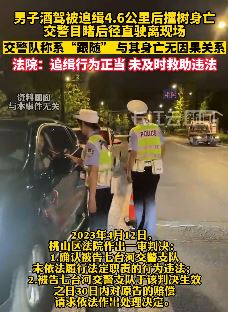 黑龙江一司机酒驾被追缉撞树身亡 交警直接驶离现场