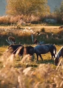 秋天的第一场旅行你会去哪？怡人秋景大赏！