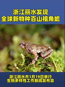 浙江丽水发现新物种百山祖角蟾