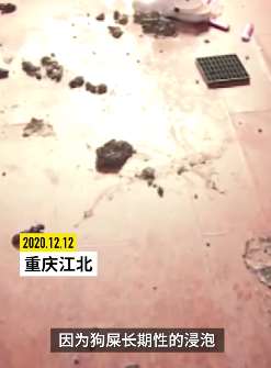 重庆2年轻女孩租房到期后不告而别，留下一屋垃圾与狗屎