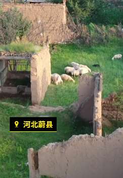 河北蔚县大固城军堡历经数百年破落不堪 如今仅剩10余老人守堡