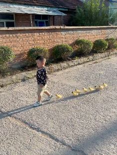 村里最靓的仔：孙子回农村，外婆安排一群小鸭子陪伴