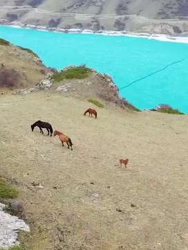 新疆昭苏玉湖冰面消融 湖水颜色如蓝宝石