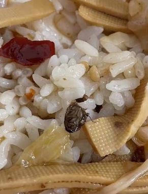 女子点外卖吃出"熟"蟑螂 商家拒赔被起诉