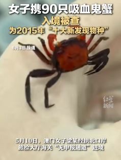 女子携吸血鬼蟹入境被查 为2015年十大新发现物种之一