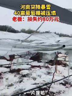 河南突降暴雪种植户40亩葡萄棚被压塌损失约80万