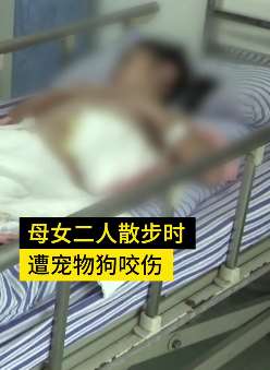 南昌一母女在小区散步被狗咬