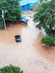 湖南遭遇强降雨，市民街头可捡鱼