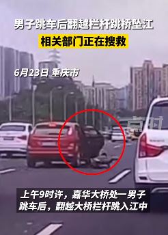 重庆一男子跳车后翻越栏杆跳桥坠江