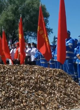 甘肃庆阳千余名环卫工8天捡500多公斤烟头
