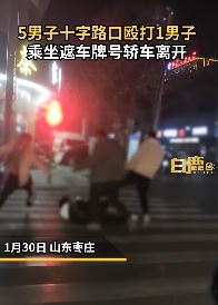 山东枣庄5男子当街打人后坐遮挡车牌号轿车离开