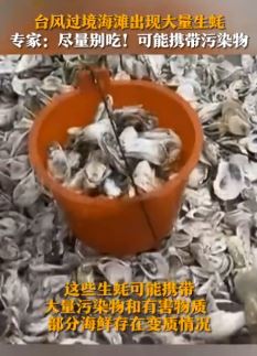 专家提醒:台风过境后海滩上的生蚝尽量别吃,可能携带污染物!
