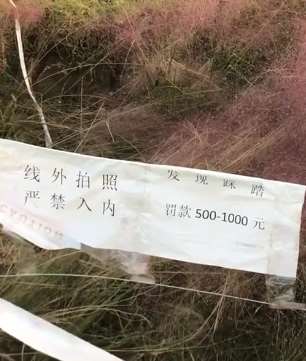 武汉一景区为防止游客踩花，用广播魔性循环提醒大家！