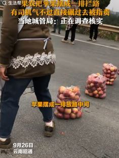 果农将苹果装袋摆成一排堵路逼停司机