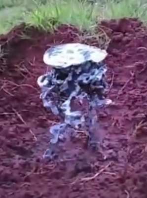 蚂蚁洞中结构有多复杂,男子用滚烫铁水做实验揭秘
