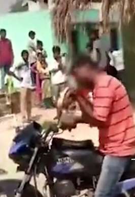 印度醉汉遇蛇挡路 一怒之下将蛇咬死